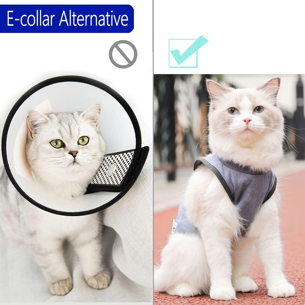 Cat Surgery Recovery Suit Cat Onesie for Cats after Surgery Spay Surgical Abdominal Wound Skin Diseases E-Collar Alternative Wear (Grey-Blue-M)