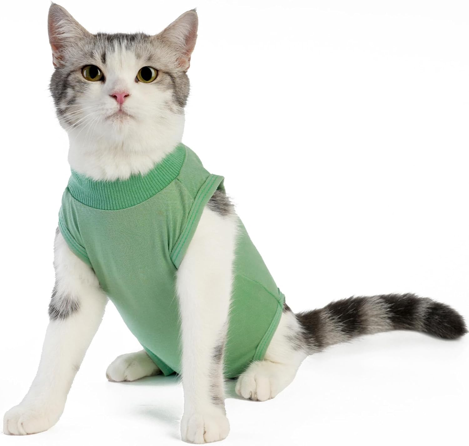 Cat Surgery Recovery Suit Cat Onesie for Cats after Surgery Spay Surgical Abdominal Wound Skin Diseases E-Collar Alternative Wear (Grey-Blue-M)