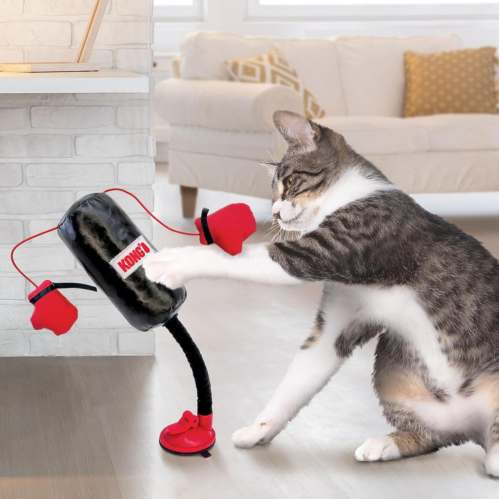Connects Punching Bag with Boxing Gloves Filled with Catnip