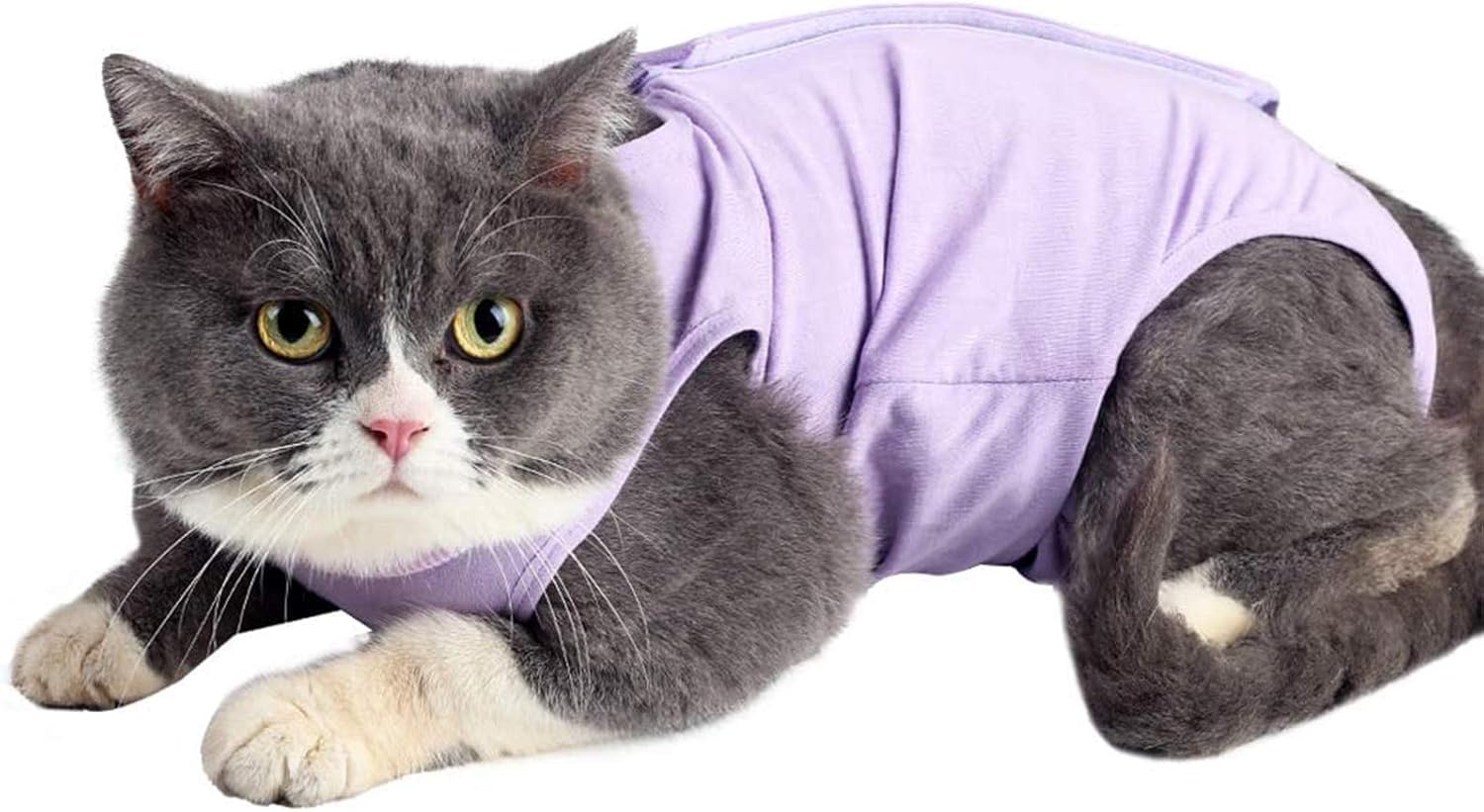 Cat Surgery Recovery Suit Cat Onesie for Cats after Surgery Spay Surgical Abdominal Wound Skin Diseases E-Collar Alternative Wear (Grey-Blue-M)