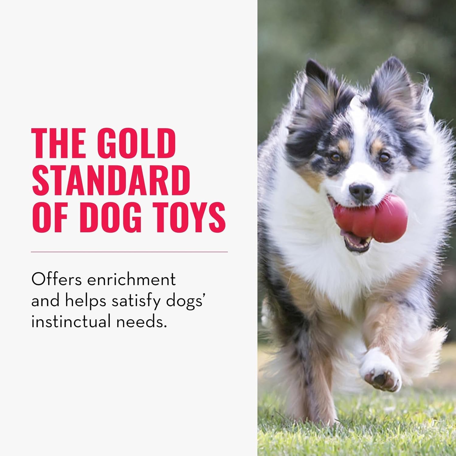 Classic Stuffable Dog Toy - Fetch & Chew Toy for Dogs - Treat-Filling Capabilities & Erratic Bounce for Extended Play Time - Durable Natural Rubber Material - for Small Dogs