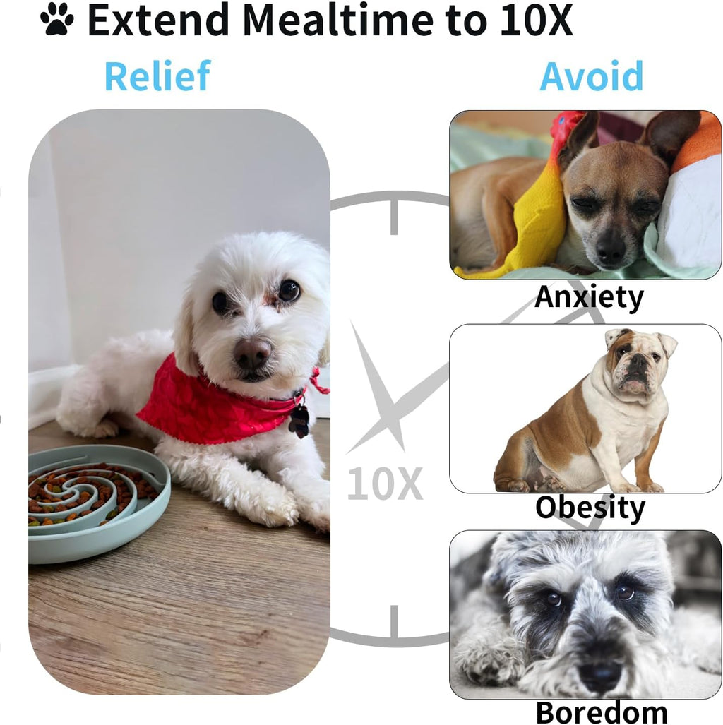 Slow Feeder Dog Bowls