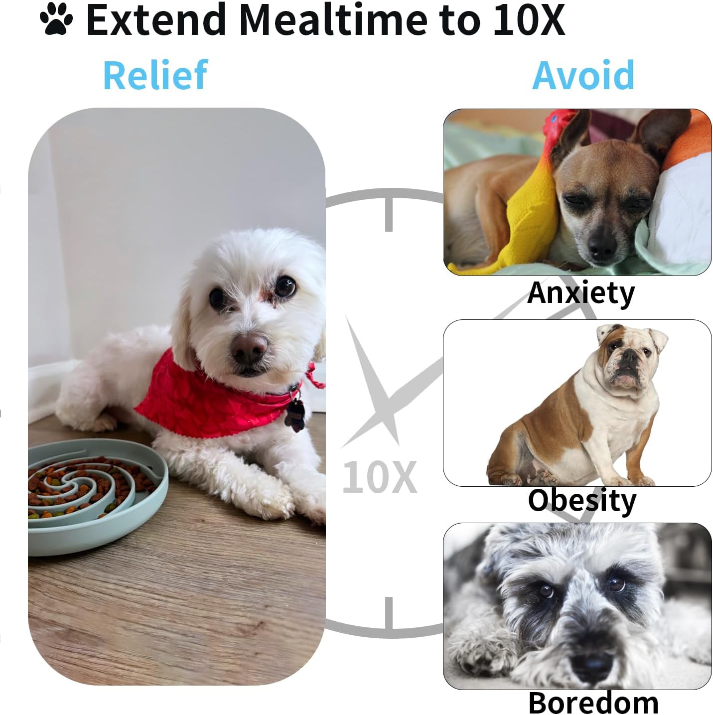 Slow Feeder Dog Bowls