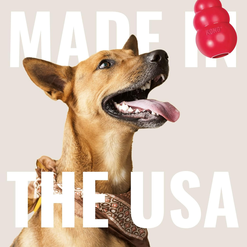 Classic Stuffable Dog Toy - Fetch & Chew Toy for Dogs - Treat-Filling Capabilities & Erratic Bounce for Extended Play Time - Durable Natural Rubber Material - for Small Dogs