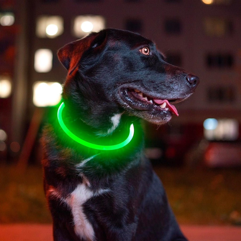Led Dog Collar,  USB Rechargeable Flash Dog Necklace Ligh