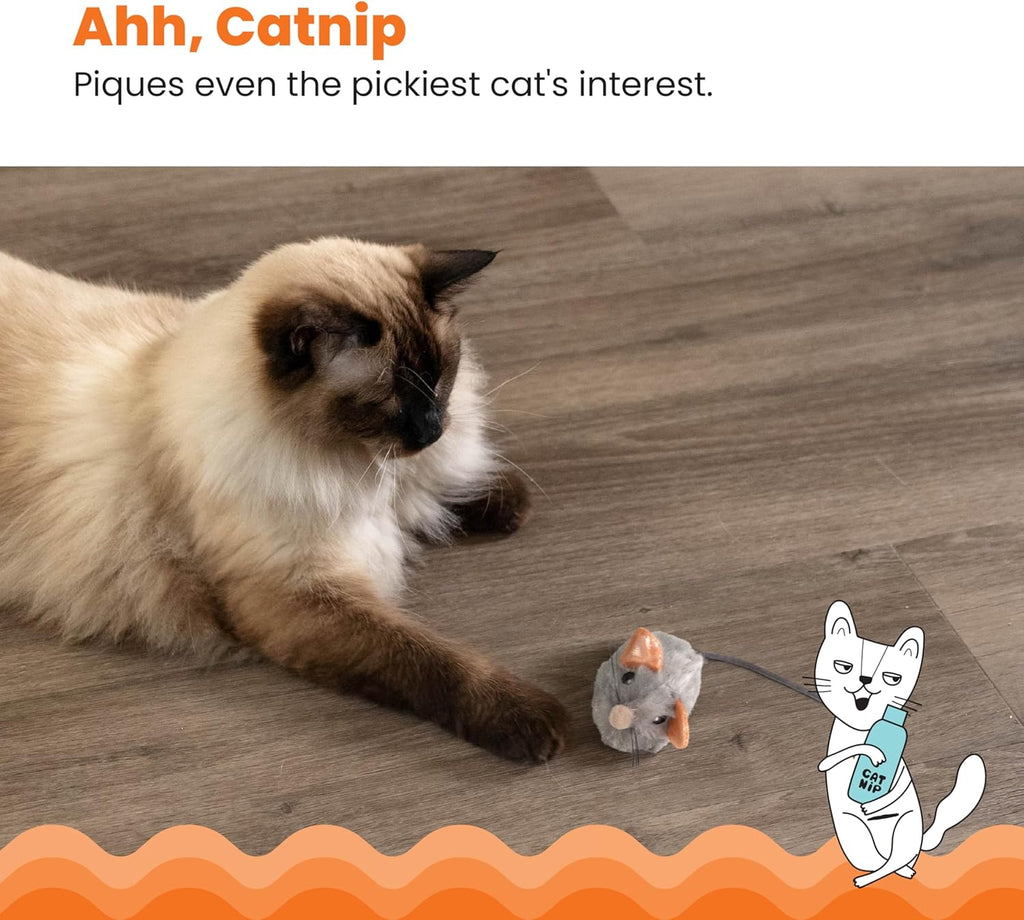 Squeak Squeak Mouse Cat Toy with Touch-Activated Sound & Catnip, Gray