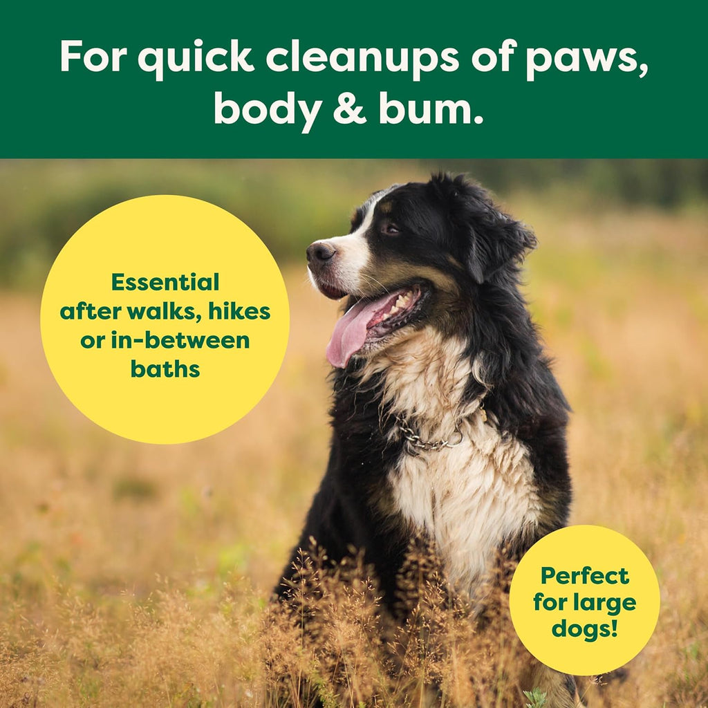 XL Pet Wipes for Dogs & Cats, 3-In-1 Hypoallergenic Cleaning, Deodorizing and Hydrating Extra Large Grooming for Body