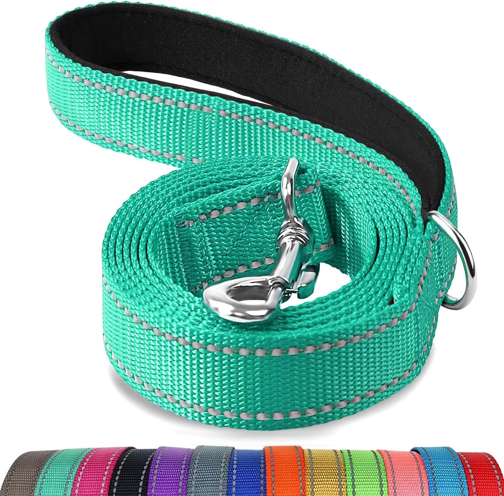 Dog Leash Padded Handle Nylon Heavy Duty Leashes for Medium & Large Dogs Walking, Teal, 6FT